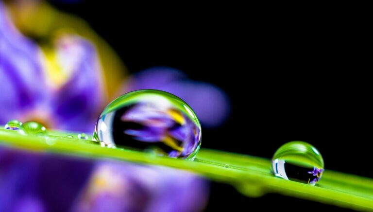 A close-up image of water droplets on a vibrant petal reflecting colorful surroundings.